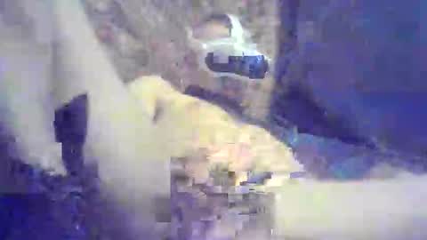 Snapshot of bartbartek chatting on May 2026 05:34:02 PM bartbartek online show from May 2026 05:34:02 PM