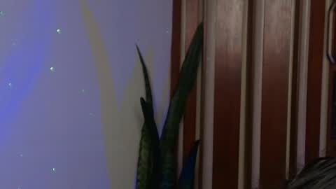 Snapshot of bastiel_ chatting on May 2026 01:57:16 AM Bastiel online show from May 2026 01:57:16 AM