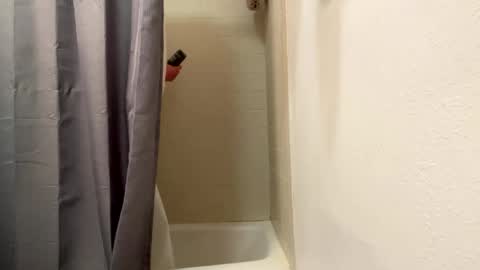 bathingcat online show from January 2025 08:57:02 AM