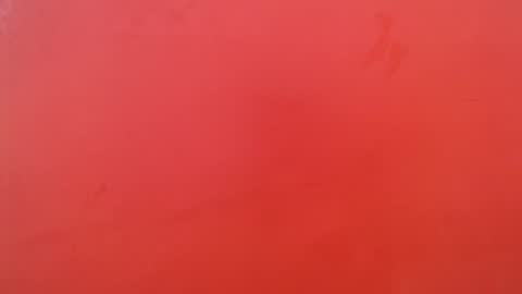 bayonette_black online show from October 2025 01:07:01 PM