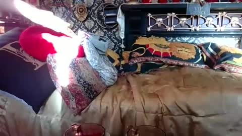 Snapshot of bazzasworld chatting on November 2025 07:32:01 AM Bazza online show from November 2025 07:32:01 AM