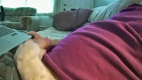 Snapshot of bcema2 chatting on January 2025 09:44:02 PM bcema2 online show from January 2025 09:44:02 PM