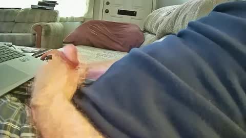 Snapshot of bcema2 chatting on October 2025 06:49:02 PM bcema2 online show from October 2025 06:49:02 PM