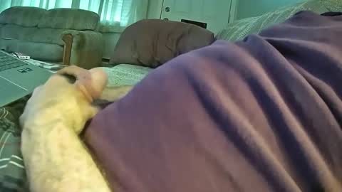 Snapshot of bcema2 chatting on October 2025 03:30:02 PM bcema2 online show from October 2025 03:30:02 PM