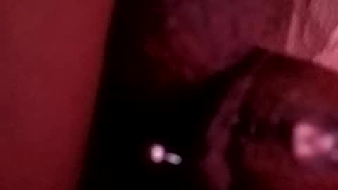 bcfalcon69 online show from May 2026 06:20:01 AM