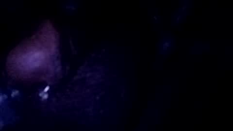 Snapshot of bcfalcon69 chatting on July 2026 03:04:01 AM bcfalcon69 online show from July 2026 03:04:01 AM