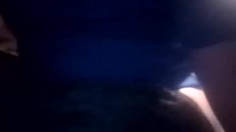 Snapshot of bcmow123 chatting on February 2026 06:24:01 AM bcmow123 online show from February 2026 06:24:01 AM