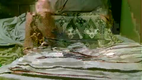 Snapshot of beagle1 chatting on November 2025 08:55:01 PM beagle1 online show from November 2025 08:55:01 PM