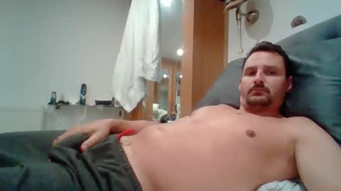 bearboudior online show from May 2026 10:53:02 AM