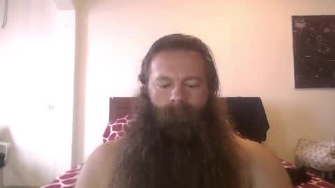 beardeddonkey88 online show from November 2025 12:55:01 PM