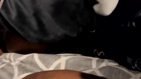 Snapshot of beastyadams chatting on February 2025 10:33:02 AM BeastyAdamsTgExotic online show from February 2025 10:33:02 AM