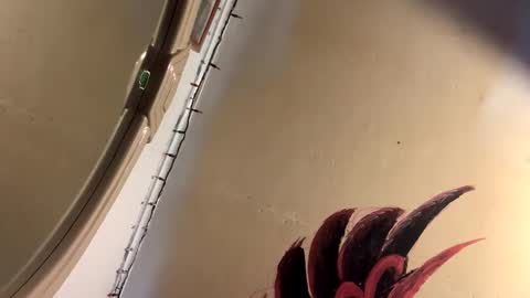 Mikes room online show from April 2026 09:56:01 PM