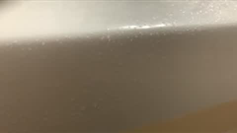 love2seeudear online show from December 2025 08:45:01 AM