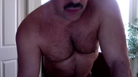 Beefy online show from March 2026 11:30:02 PM