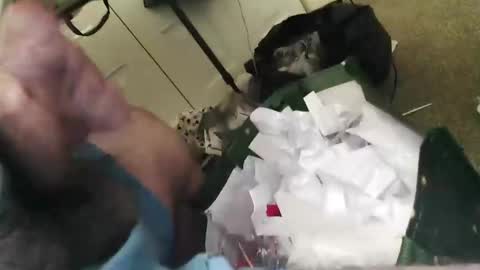 Snapshot of beenallover92 chatting on January 2025 02:03:02 PM beenallover92 online show from January 2025 02:03:02 PM