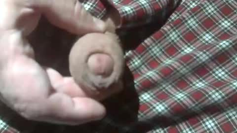 Snapshot of beer27 chatting on December 2024 12:15:02 AM Reservoir Dogs online show from December 2024 12:15:02 AM