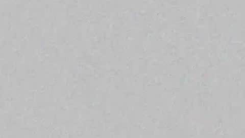 bella_dreamss online show from May 2026 10:31:02 AM
