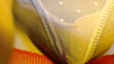 bellafox online show from May 2026 05:21:02 PM