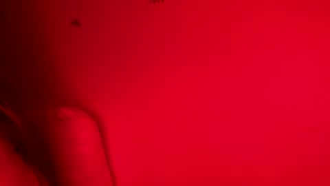 Snapshot of belle_marie chatting on November 2025 08:12:01 AM Belle xx online show from November 2025 08:12:01 AM