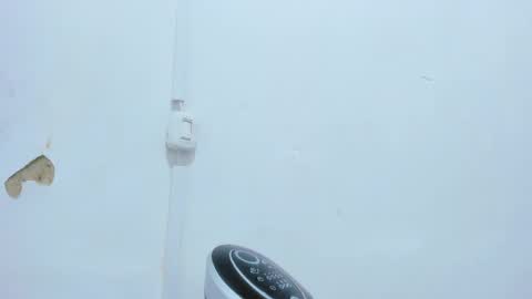 Snapshot of bellota_flak chatting on December 2024 04:56:02 AM Bellota Flak online show from December 2024 04:56:02 AM