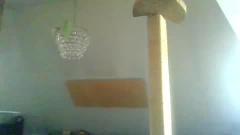 benizio online show from January 2025 11:01:01 AM