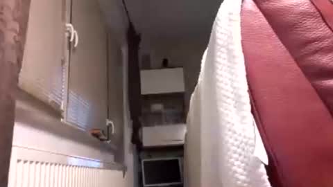 Benutzmich0800 online show from February 2026 02:19:01 AM