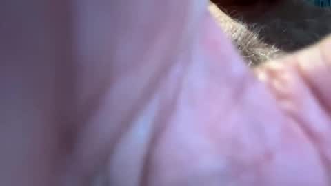 benz10001 online show from September 2025 12:49:02 PM