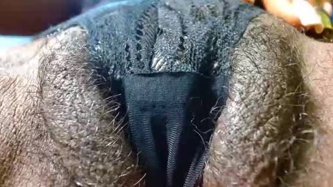 Bethany Wilson online show from January 2025 03:34:02 PM