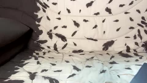 betterthanmen online show from February 2025 08:17:01 AM