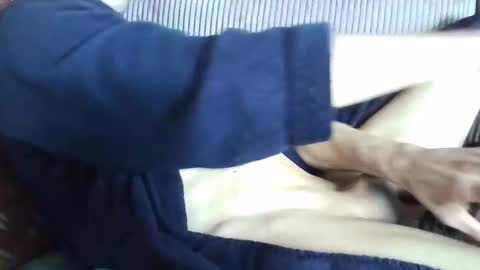 Snapshot of beukenstein chatting on March 2026 10:53:01 AM . online show from March 2026 10:53:01 AM