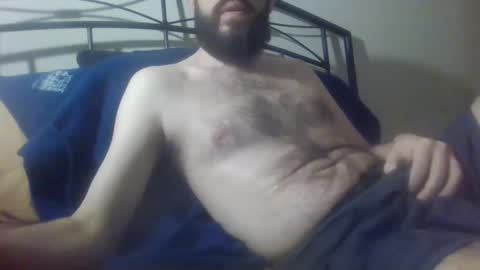 bibotguy online show from December 2024 04:14:01 AM