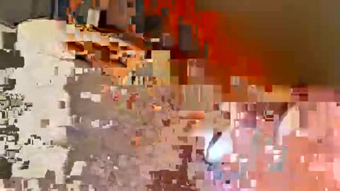 biff768816 online show from February 2026 07:56:02 PM