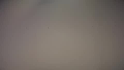 Snapshot of biff_beaverhausen chatting on November 2025 11:34:01 AM Biff Beaverhousen online show from November 2025 11:34:01 AM