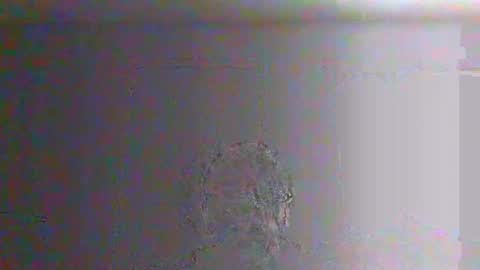 Snapshot of bigalnoone chatting on March 2026 10:04:02 PM bigalnoone online show from March 2026 10:04:02 PM