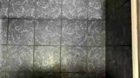 bigass_fag online show from October 2025 09:45:02 PM