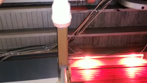 Straight Dave online show from October 2025 10:08:01 PM