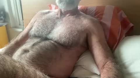 big bush online show from March 2026 02:50:01 AM