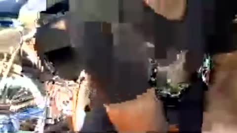 bigcok4you6969 online show from June 2026 08:44:02 PM