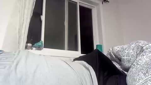 bg online show from December 2024 02:42:02 AM