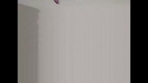 bigd23994 online show from March 2026 07:52:02 AM