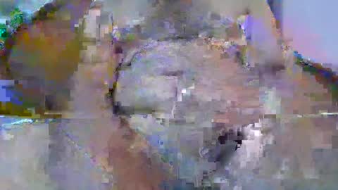 Snapshot of bigdaddysam95 chatting on September 2025 06:00:01 PM bigdaddysam95 online show from September 2025 06:00:01 PM