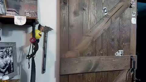 Darryl online show from February 2025 04:23:01 AM