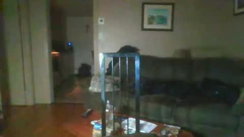 bigdeer581917471 online show from February 2025 08:08:01 AM