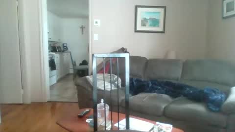 bigdeer581917471 online show from February 2025 05:48:01 PM