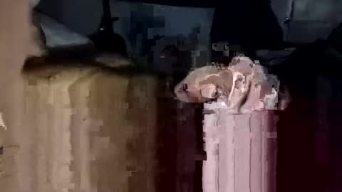 bigdickdaddy7201979564868 online show from November 2025 02:17:02 PM