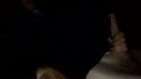 bigdickdangles472924 online show from July 2026 09:45:02 PM
