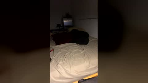 bigdickpapishampoo online show from December 2025 10:00:02 AM