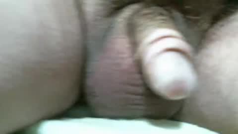 BigDog online show from November 2025 07:03:02 PM