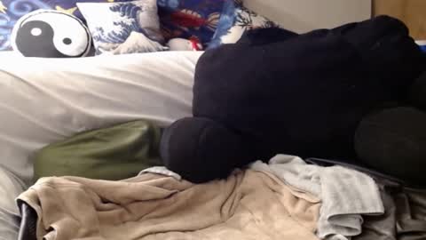 Bigandthick online show from December 2024 07:37:01 AM