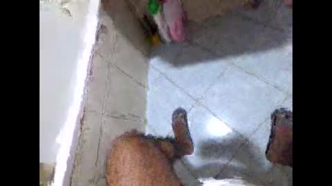 bighdasehzada online show from April 2026 08:24:01 AM